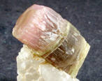 Tourmaline bicolor